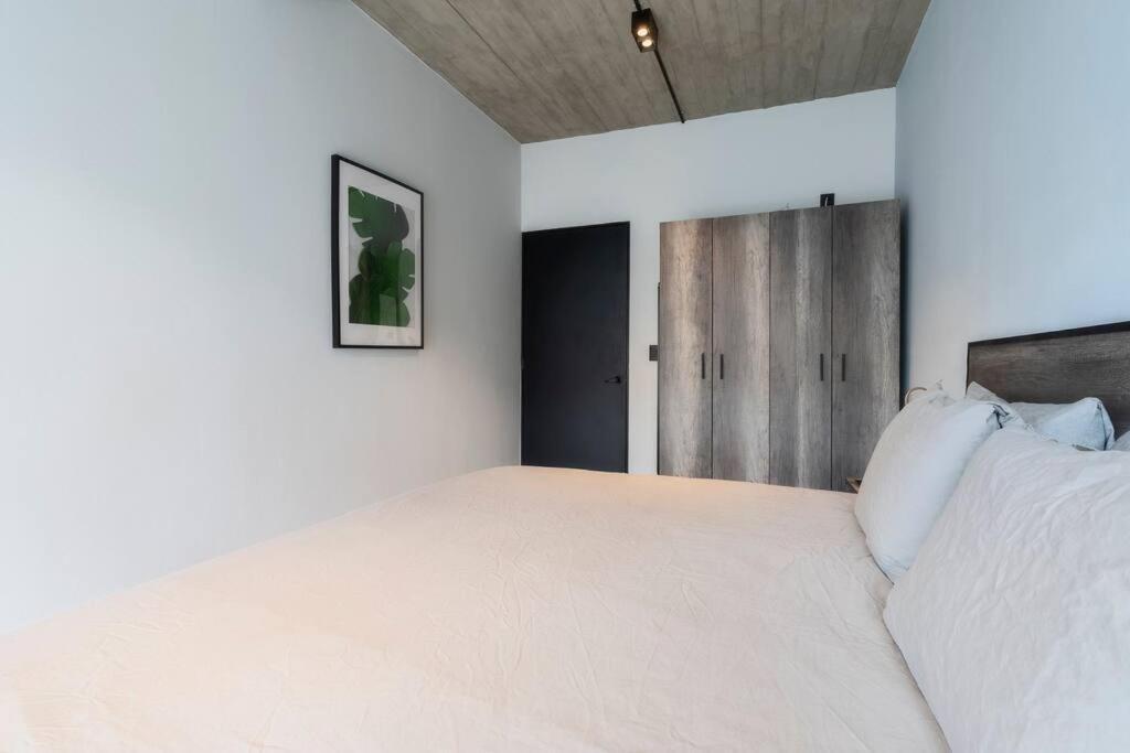 P501 2bdrm 2bath Ac Rooftop Mexiko-Stadt